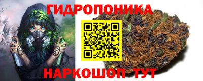 амф Кунгур