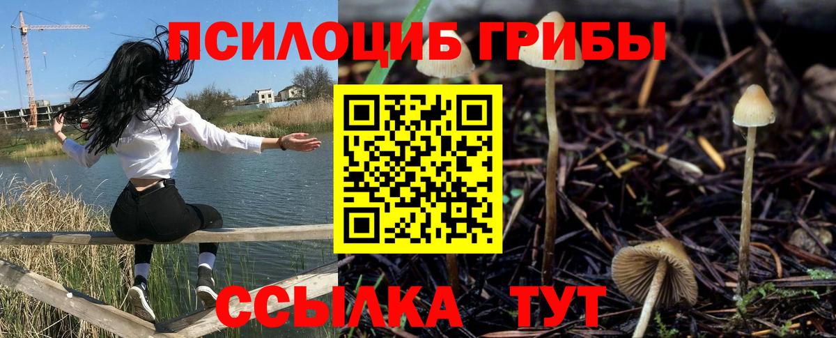 Галлюциногенные грибы MAGIC MUSHROOMS  Вход с VPN  Кимры 